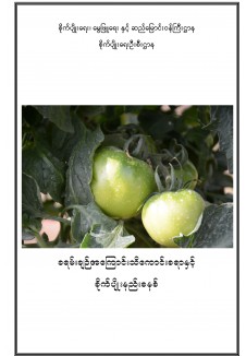 ခရမ်းချဉ် အကြောင်းသိကောင်းစရာနှင့် စိုက်ပျိုးနည်းစနစ်