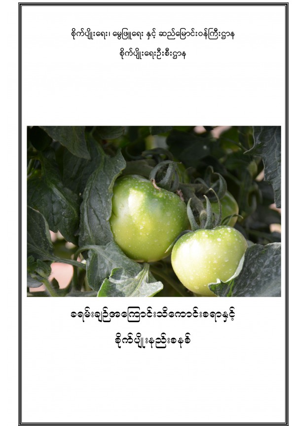 ခရမ်းချဉ် အကြောင်းသိကောင်းစရာနှင့် စိုက်ပျိုးနည်းစနစ်