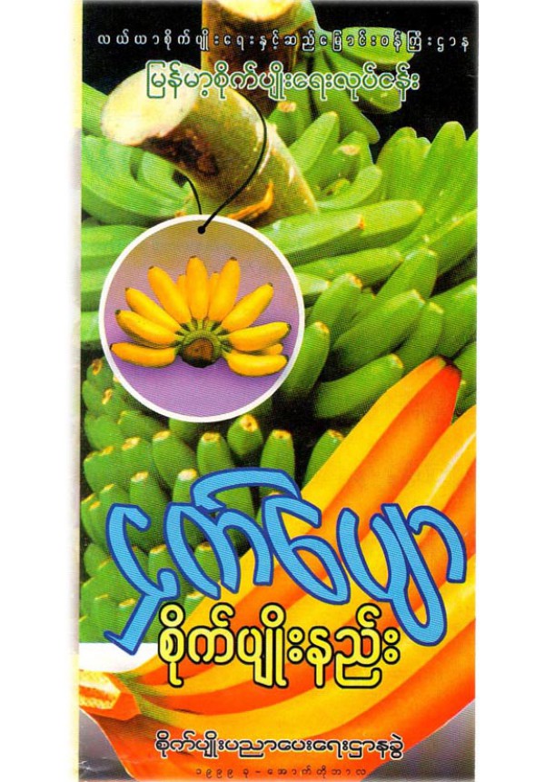 ငှက်ပျောစိုက်ပျိုးနည်းစနစ်