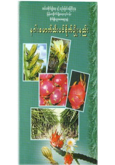 နဂါးမောက်သီးပင် စိုက်ပျိုးနည်းစနစ်