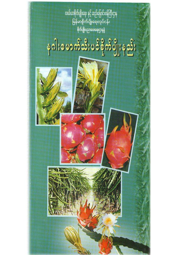 နဂါးမောက်သီးပင် စိုက်ပျိုးနည်းစနစ်
