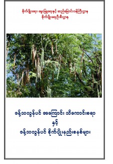 ဒန့်သလွန်ပင် အကြောင်းသိကောင်းစရာ