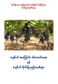 စပျစ်ပင်အကြောင်းသိကောင်းစရာနှင့် စပျစ်ပင် စိုက်ပျိုးနည်းစနစ်