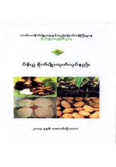 ပိန်းဥ စိုက်ပျိုးနည်းစနစ်