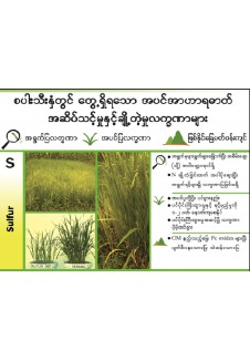 အဟာဓါတ်ချို့တဲ့မှုလက္ခဏာများ