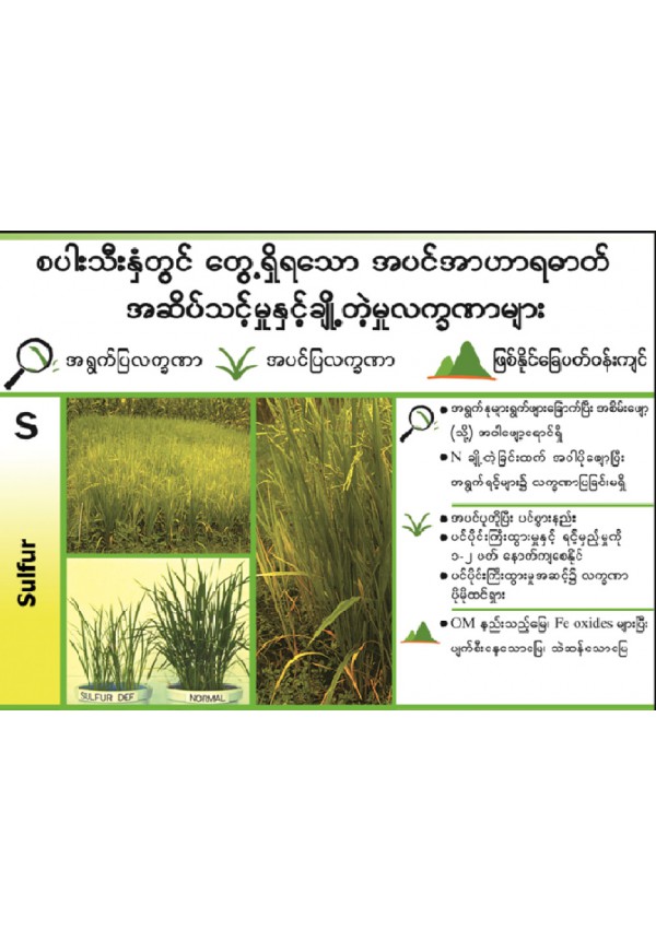 အဟာဓါတ်ချို့တဲ့မှုလက္ခဏာများ