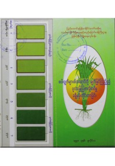 စပါးအရွက်များ၏ အရောင်ကို မျက်မြင် ကြည့်၍ ပုလဲမြေသြဇာ ခန့်မှန်းတိုင်းတာခြင်း