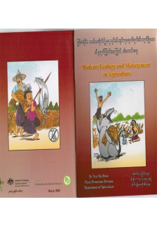 သီးနှံများတွင် ကျရောက်ဖျက်ဆီးလျှက်ရှိသော ကြွက်အကြောင်းသိကောင်းစရာ