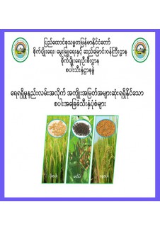 ရေရရှိမှု နည်းလမ်းအလိုက် အကျိုးအမြတ် အများဆုံး ရရှိနိုင်သည့် စပါးအခြေခံ သီးနှံပုံစံ