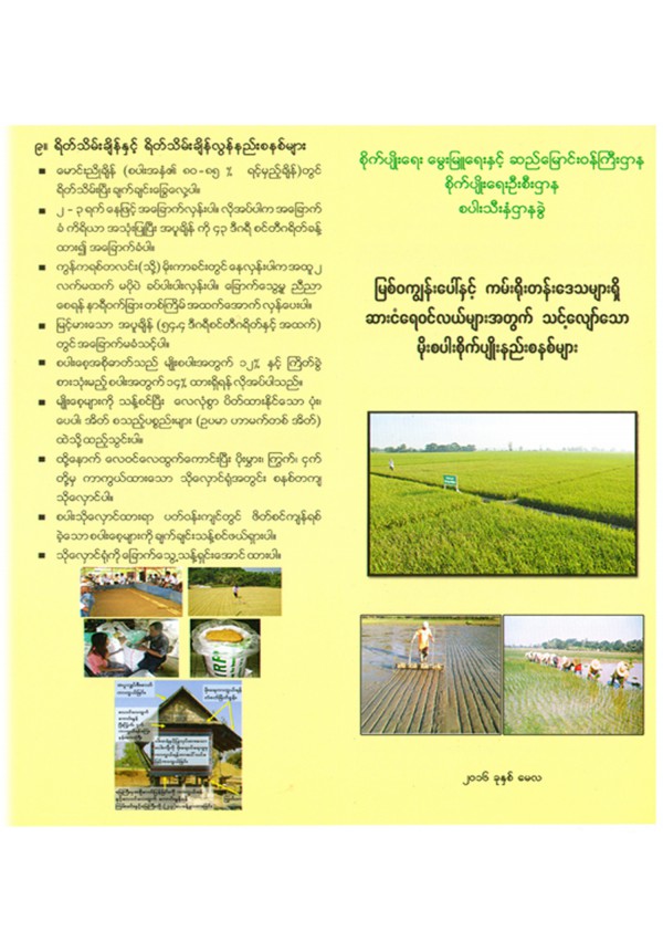 မြစ်ဝကျွန်းပေါ်နှင့် ကန်းရိုးတန်ဒေသများရှိ ပင်လယ်ဆားငန်ရေး ဒေသများတွင် သင့်လျော်သည့် စပါးစိုက်ပျိုးနည်းစနစ်