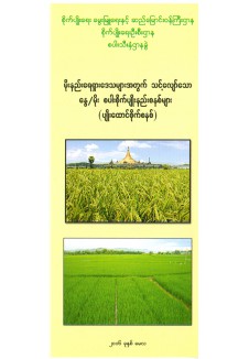 မိုးနည်းဒေသများအတွက် သင့်လျော်သော နွေ/မိုး စပါးစိုက်ပျိုးနည်းစနစ်