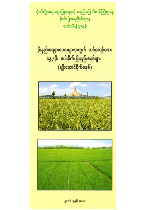 မိုးနည်းဒေသများအတွက် သင့်လျော်သော နွေ/မိုး စပါးစိုက်ပျိုးနည်းစနစ်