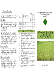 စီးပွားဖြစ်မျိုးသန့် မျိုးစေ့ထုတ်လုပ်နည်း