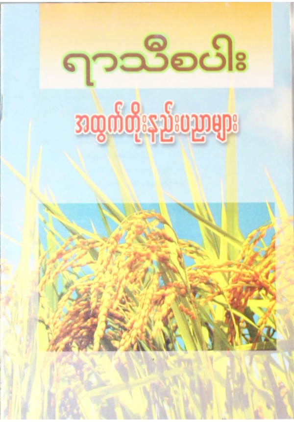 ရာသီစပါးအထွက်တိုးနည်းပညာ