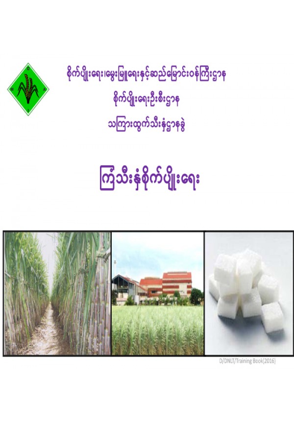 ကြံသီးနှံ စိုက်ပျိုးနည်းပညာ