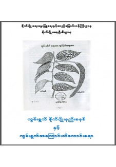 ကွမ်းရွက်စိုက်ပျိုးနည်းစနစ်နှင့် ကွမ်းရွက်အကြောင်းသိကောင်းစရာ