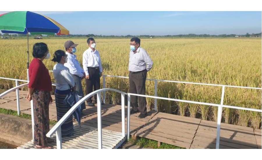 စပါးအပါအဝင် ဟင်းသီးဟင်းရွက် သစ်သီးဝလံ မျိုးကောင်းမျိုးသန့်များ ထုတ်လုပ်ရာတွင် ခေတ်မီ Bio Technology နည်းပညာအသုံးပြု ဆောင်ရွက်သွားမည်