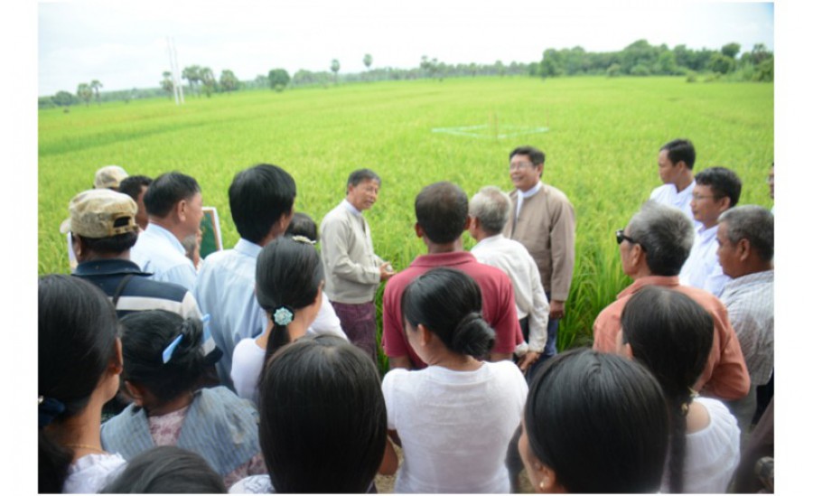 ဒုတိယဝန်ကြီး ဒေါက်တာထွန်းဝင်း မြန်မာပြည်အလယ်ပိုင်း အပူပိုင်းဇုံဒေသ စိုက်ပျိုးရေ ရရှိရေးနှင့် ဒေသဖွံ့ဖြိုးရေးဆိုင်ရာများ ကွင်းဆင်းဆောင်ရွက်