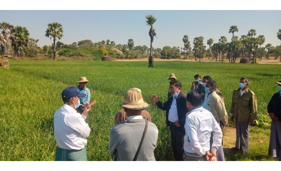 သီးနှံအရည်အသွေးနှင့် အထွက်နှုန်းတိုးတက်ရေးသာမက တောင်သူများ ကြိုးစားအားထုတ်မှုနှင့် ထိုက်တန်သည့် အကျိုးအမြတ်ခံစားနိုင်ကြစေရေးကြိုးပမ်း