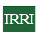 IRRI