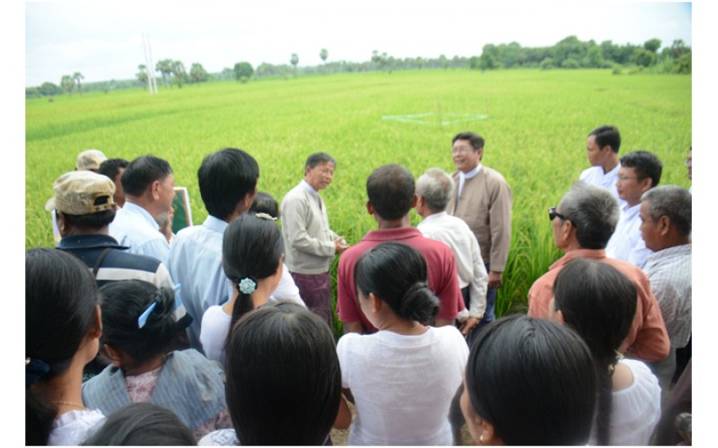 ဒုတိယဝန်ကြီး ဒေါက်တာထွန်းဝင်း မြန်မာပြည်အလယ်ပိုင်း အပူပိုင်းဇုံဒေသ စိုက်ပျိုးရေ ရရှိရေးနှင့် ဒေသဖွံ့ဖြိုးရေးဆိုင်ရာများ ကွင်းဆင်းဆောင်ရွက်