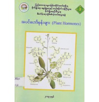 အပင်ဟော်မုန်းများ