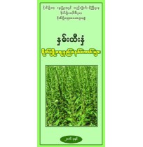 နှမ်းသီးနှံ စိုက်ပျိူးရေး နည်းစနစ်ကောင်းများ