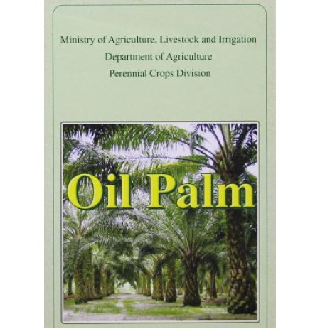 Oil Palm