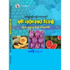 လူတိုင်းနေ့စဉ် စားသုံးရမည့် သီးနှံသုံးမျိုး