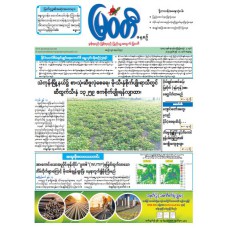 မြဝတီသတင်းစာ  (၁၄.၆.၂၀၂၅) 