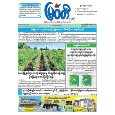 မြဝတီသတင်းစာ  (၁၁.၈.၂၀၂၅) 