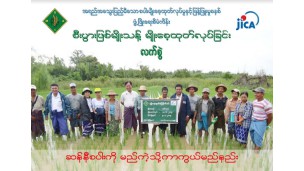 ဆန်နီစပါးကိုမည်ကဲ့သို့ကာကွယ်မည်နည်း