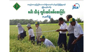 စပါးသီးနှံကွင်းဆင်းစစ်ဆေးခြင်း