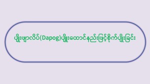 ပျိုးဖျာလိပ် ပျိုးထောင်နည်းဖြင့်စိုက်ပျိုးခြင်း