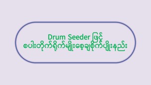 Drum Seeder ဖြင့် စပါးတိုက်ရိုက်မျိုးစေ့ချစိုက်ပျိုးနည်း