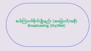 စပါးကြဲပက်စိုက်ပျိုးနည်း (အခြောက်/အစို) Broadcasting (Wet/Dry)