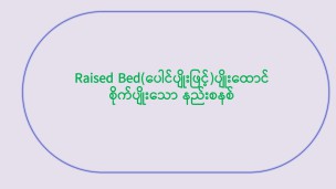 Raised Bed (ပေါင်ပျိုးဖြင့်) ပျိုးထောင်စိုက်ပျိုးသောနည်းစနစ်