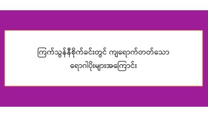 ကြက်သွန်နီစိုက်ခင်းတွင် ကျရောက်တတ်သော ရောဂါပိုးများအကြောင်း