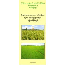 မိုးနည်းရေရှားဒေသအတွက် သင့်လျော်သော မိုးနည်းရေရှား စပါးစိုက်နည်းစနစ်