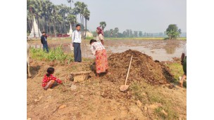 တံတားဦးမြို့နယ်၊မီးသွေးတိုက်ကျေးရွာ  နွေစပါးကောက်စိုက်စက်ဖြင့် စိုက်ပျိုးမည့် စိုက်ခင်းအား ကွင်းဆင်း