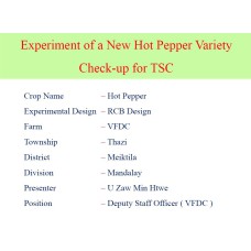Experiment of a New Hot Pepper Variety Check-up for TSC