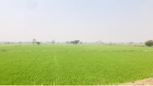 ၂၀၂၅-၂၀၂၆ ဘဏ္ဍာနှစ်အတွင်း နွေသီးနှံ ၇၃,၀၀၀ ဧကကျော်အား ဆည်တော်ကြီးဆည်မှ ရေပေးဝေမည်