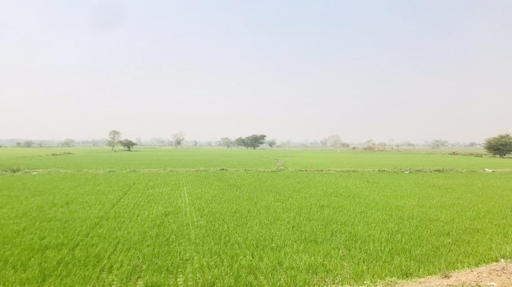 ၂၀၂၅-၂၀၂၆ ဘဏ္ဍာနှစ်အတွင်း နွေသီးနှံ ၇၃,၀၀၀ ဧကကျော်အား ဆည်တော်ကြီးဆည်မှ ရေပေးဝေမည်