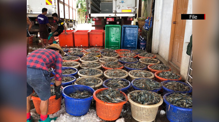 ပြီးခဲ့သည့်၁၀လအတွင်း (ဧပြီ-ဇန်နဝါရီ) မြန်မာ့ပုစွန် တန်ချိန် ၉,၀၀၀ တင်ပို့