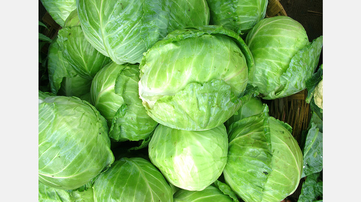 တောင်ကိုးရီးယား ဂေါ်ဖီထုပ်ဈေးတွေ ၀ယ်လိုအားများတာကြောင့် ၄၀ ရာခိုင်နှုန်း ကျဆင်း