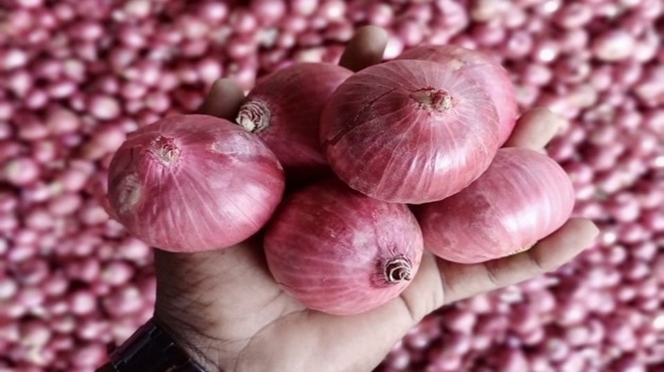 ရာသီဥတုနှင့်စစ်ပွဲစိန်ခေါ်မှုများကြောင့် အိန္ဒိယကြက်သွန်နီတင်ပို့မှုများ နှစ်ဆကျဆင်းလျက်ရှိ