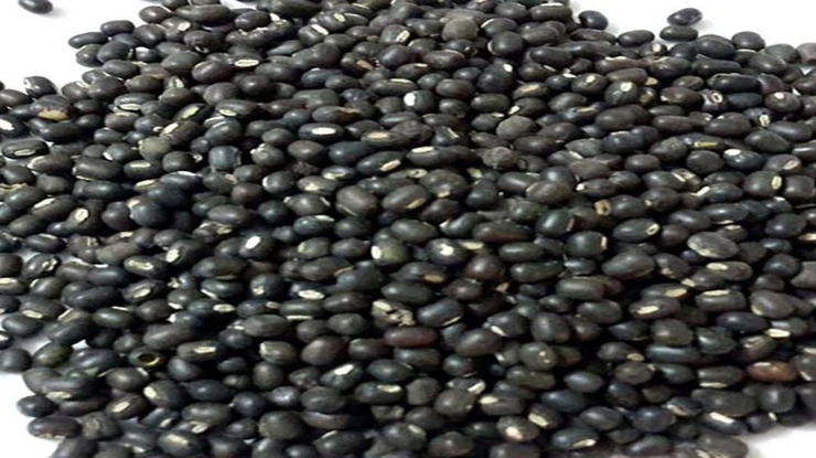 အိန္ဒိယသည် ပဲမျိုးစုံတင်သွင်းခွင့် မူဝါဒကို ၂၀၂၇ မတ်လအထိ သက်တမ်းတိုးခဲ့