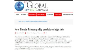 New Shwebo Pawsan paddy persists on high side