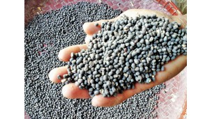Black gram price recovers in domestic market
