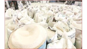 Sugar prices on upward trend despite sugarcane harvest season